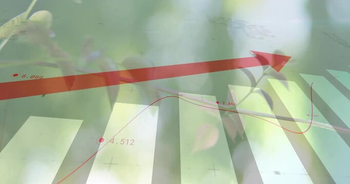 Vertical video: Animating chart on play, moving red trend line across bars and arrow showing rise
