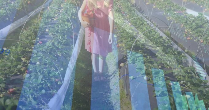 Girl walking farm row spotting berries and picking into basket with blue-green overlay tracking her