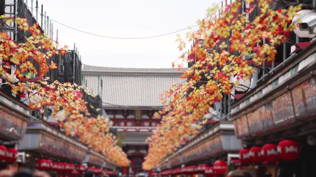 Senso-Ji temple in Asakusa district,  Taito City, Tokyo, Japan, Asakusa Kannon, Kinryu-zan Buddhist temple shrine in autumn fall day, with Nakamise shopping street, Kaminarimon Gate and Hozomon gate