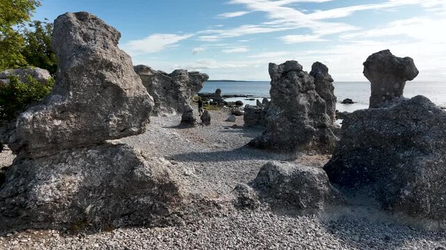 Drone flying between limestone sea stacks at Folhammar on Gotland, Sweden passing a person walking a dog along the rocky Baltic Sea coastline