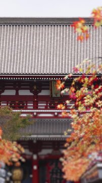 Senso-Ji temple in Asakusa district,  Taito City, Tokyo, Japan, Asakusa Kannon, Kinryu-zan Buddhist temple shrine in autumn fall day, with Nakamise shopping street, Kaminarimon Gate and Hozomon gate