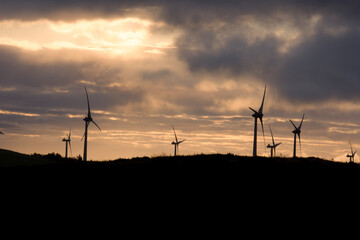 Fototapeta premium Wind turbines silhouetted against a dramatic sunset sky