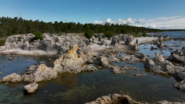 Drone orbiting along limestone sea stacks at Folhammar raukf&auml;lt, Gotland, Sweden with a man walking a dog along the rocky Baltic Sea coastline
