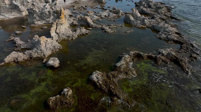 Drone tilting up from clear Baltic Sea water to limestone sea stacks at Folhammar raukf&auml;lt, Gotland, Sweden with person walking a dog along the rocky coastline