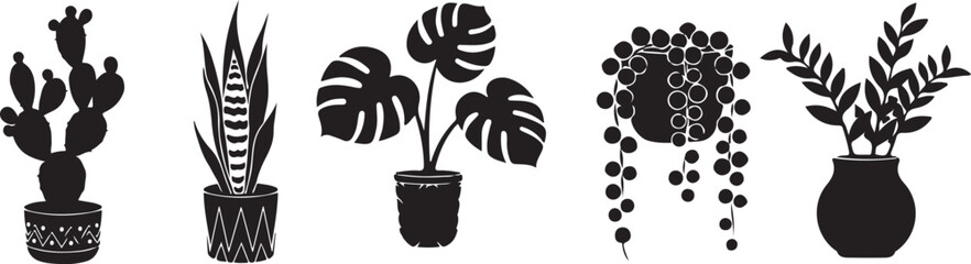 A collection of diverse potted plants including cacti monsteras and string of pearls displayed in black silhouette high quality professional detailed modern elegant stylish clean crisp © Mahmudul