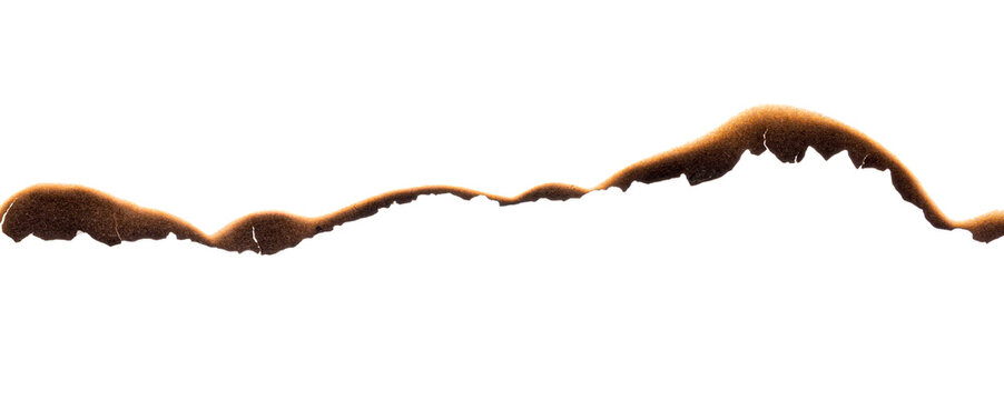 Burnt paper edge with dark scorch marks and curved burned shape