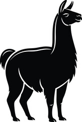 Fototapeta premium Black silhouette of a llama standing in profile
