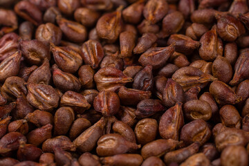 Fototapeta premium grape seeds