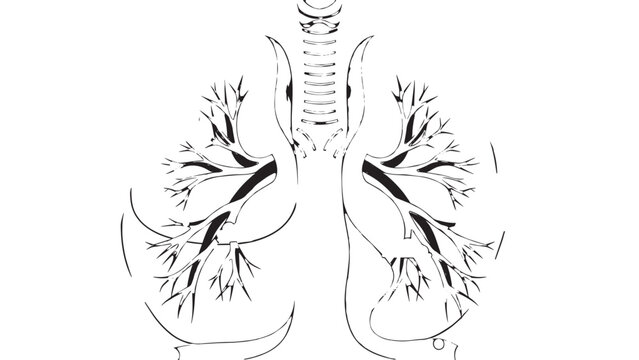 Detailed Illustration of Human Heart with Anatomical Features and Vascular System.