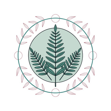 Elegant botanical illustration of fern fronds within a circular frame adorned with delicate branches and circles