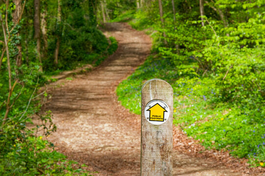 Public footpath sign on a wooden post with a winding footpath behind