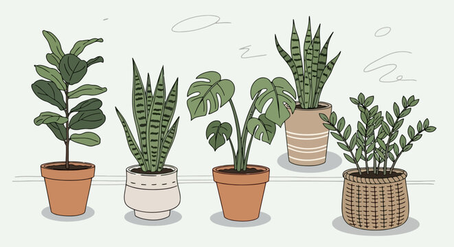 Adobe Stock Title Line art illustration of various potted houseplants Minimalist botanical dra EPS10 Stock.eps