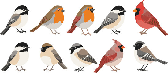 Vintage Hand Sketched North American Bird Species Vector Set Featuring Northern Cardinal American Robin Chickadee and Sparrow with Etched Texture for Nature Education Graphic Designs © Fahim