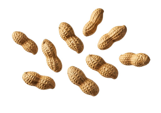 Scattered peanuts floating in air on transparent background