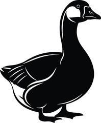Black and white illustration of a canada goose © abu sharif