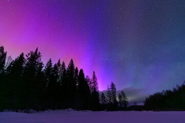 Aurora Borealis © davidmarx