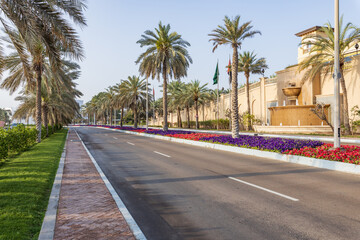 Fototapeta premium Palm trees line a quiet, sunlit road