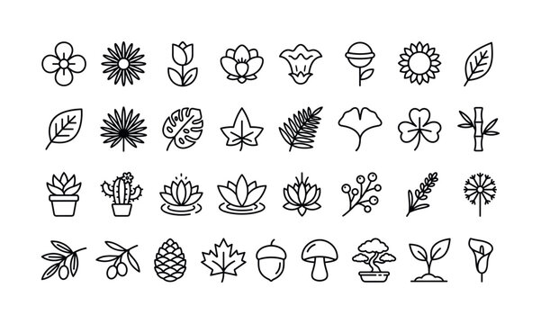A set of minimalist plant and flower icons. Black linear symbols for nature, ecology, or organic themes. Perfect for web design, logos, and UI elements. Vector graphic collection.