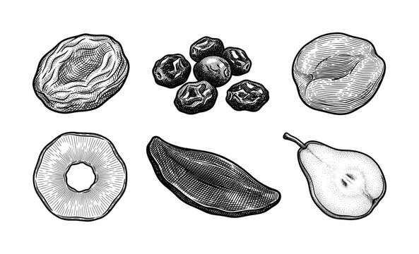A set of various dried fruits in a vintage engraving style. Hand-drawn vector illustration for healthy food packaging, recipes, or organic product design. Includes pear, mango, raisin.