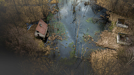 Domek przy bagnie © FotoJoker