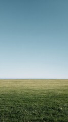 Obraz premium Wide open green grass field with a very low horizon beneath a clear blue sky creating a clean minimal composition with large negative space and natural tones
