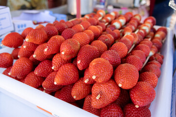 Vibrant red strawberries are skewered on wooden sticks, neatly arranged. © Nataly Regina