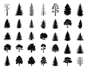 Fototapeta premium Canadian Pine Tree Silhouette Vector Set Featuring Different Conifer Trees Isolated on White Background for Forest Landscape Design, Evergreen Woodland Illustration and Nature Graphics
