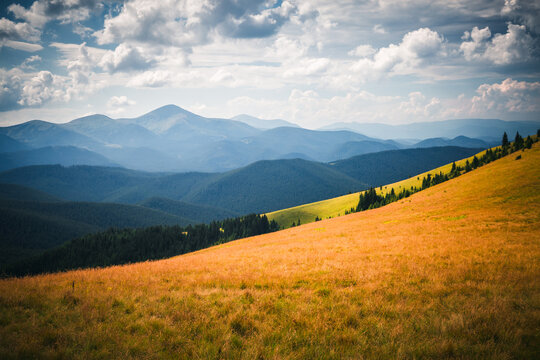 Spectacular summer day in a serene landscape of mountains under a blue sky. Mount Hoverla, Carpathian mountains, Ukraine, Europe.