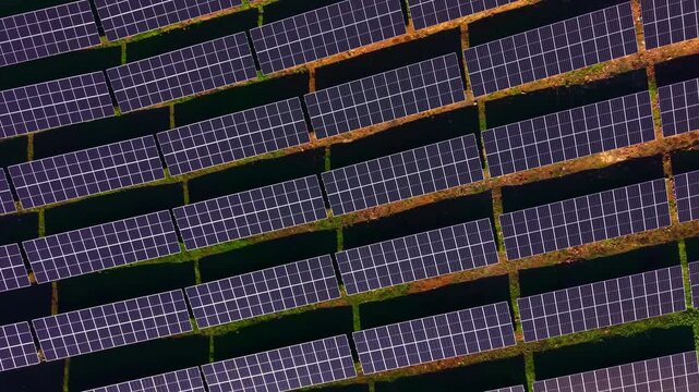 Rows of solar panels bask in the midday sun, creating a vibrant pattern against the green land. This scene illustrates the importance of renewable energy for a sustainable future.