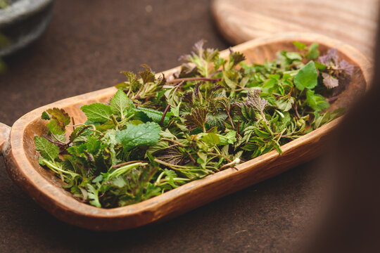 Wooden tray of freshly harvested green wild herbs for tea infusion