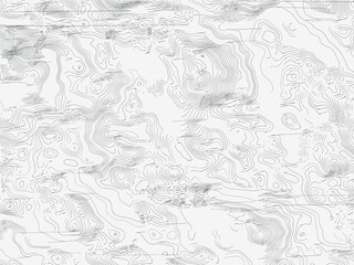 Obraz premium Abstract Contour Elevation Map Digital Illustration