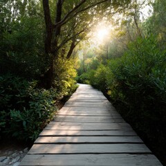 Fototapeta premium Wooden boardwalk path through sunlit green forest with dappled light and lush foliage leading into a tranquil nature trail