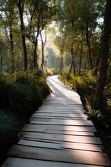 Obraz premium Wooden boardwalk winding through tall trees and grasses with warm morning light and long shadows on a peaceful forest pathway
