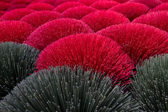 Cloeseup of red and green dry incense sticks