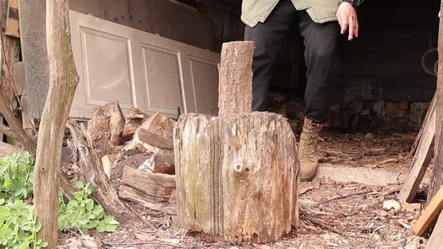 The person releases the wood on the stump and strikes it firmly with an axe, splitting it into two pieces that scatter apart, capturing the force and motion of woodcutting action.