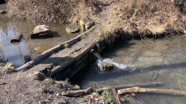 Shallow stream flowing under fallen log over stones and exposed roots, clear water with gentle ripples, spring sunlight and tiny habitat