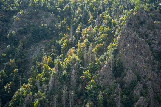 Sonnengeflutetes Bodetal im Harz