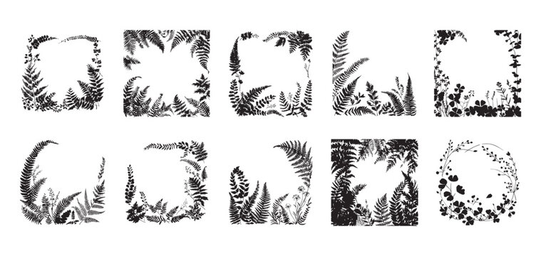 Fern silhouette set, botanical foliage frames