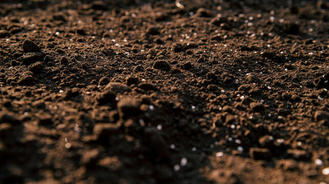 Rich dark soil with small white particles, ready for planting