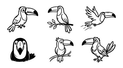 Fototapeta premium toucan line vector set. black color sketches style on white background. Vector illustration.
