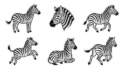 Fototapeta premium zebra line vector set. black color sketches style on white background. Vector illustration.