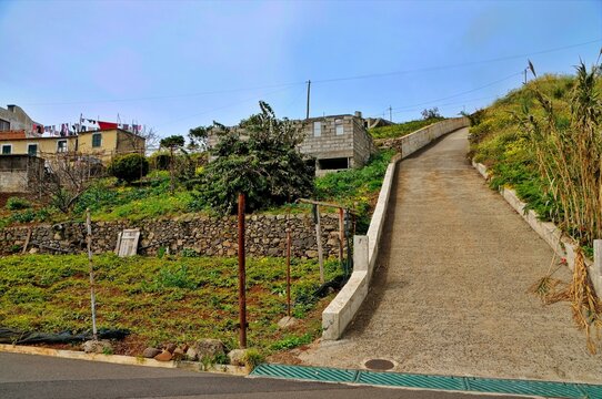 Rural Italian Pathway: A charming, narrow paved pathway winds uphill through a quaint rural Italian village, flanked by lush green hillsides dotted with rustic houses and vegetation under a bright.
