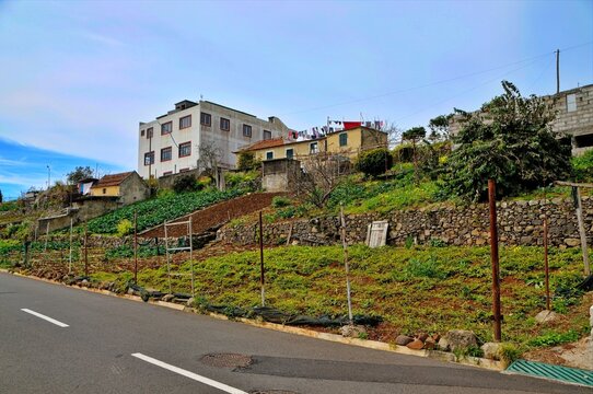 Rural Hillside Village: A charming village nestled on a sun-drenched hillside, with buildings clinging to the slopes and agricultural terraces showcasing vibrant greenery, under a clear blue sky.
