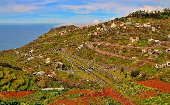 Panoramic morning view of a vineyard in Madeira surrounded by green hills and mountains