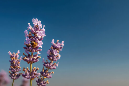 portrait of proctologist with focused expression exuding professionalism and dedication