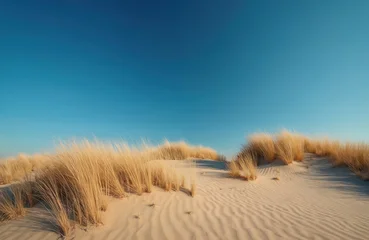 Handdoek met foto Noordzee Sandy dunes with dry grass under bright blue sky. Rippled sand patterns suggest wind. Scenic coastal landscape invites peaceful outdoor exploration.  © miss irine