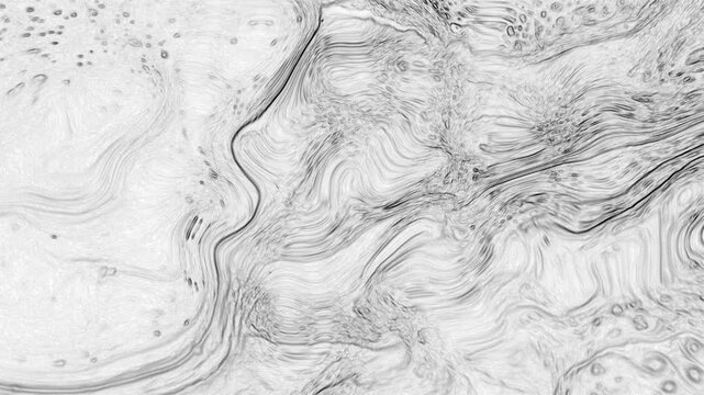 A sophisticated blend of elegant black ink swirls on a clean white surface. These fluid patterns resemble natural marble veins, creating a timeless and minimalist abstract scene.