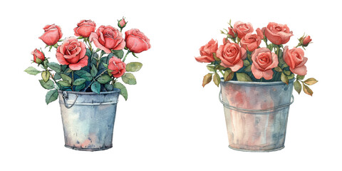 bucket of roses watercolor vector illustration © Dar