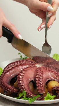 eating dinner with friends in modern restaurant, roasted octopus, potatoes and vegetables. High quality 4k footage