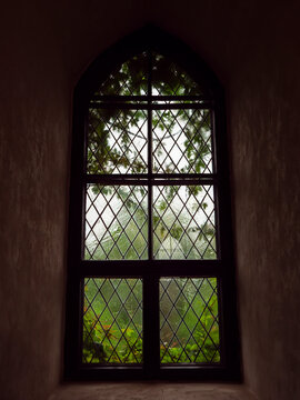 Gothic window frames a quiet garden view. Diamond patterned glass catches soft, filtered light. Green foliage sways gently beyond the window. Dappled shade creates a peaceful, timeless atmosphere